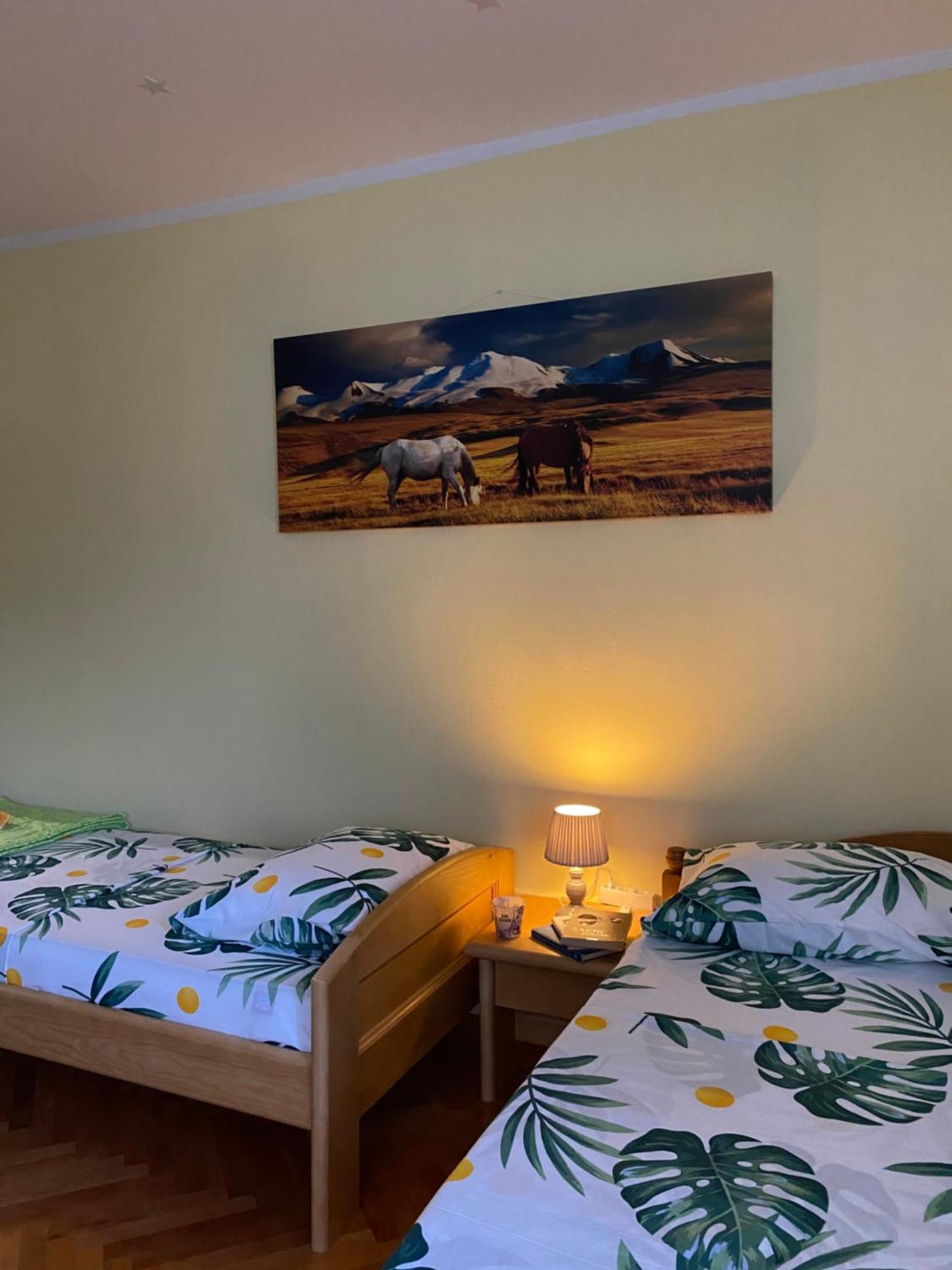 Apartman Sara Pluzine Luaran gambar